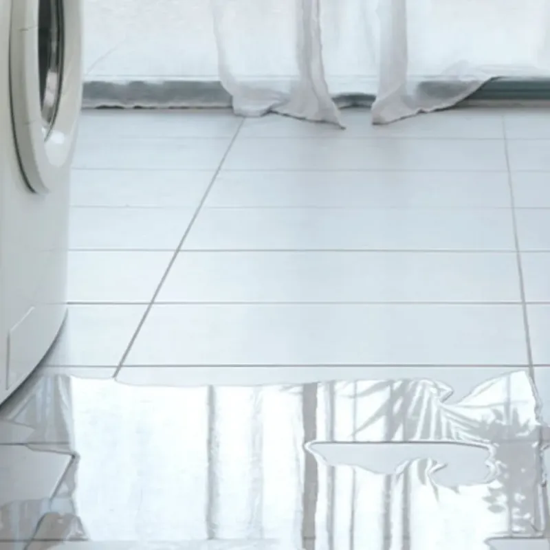 Appliance Leak Cleanup in Ormond Beach, FL